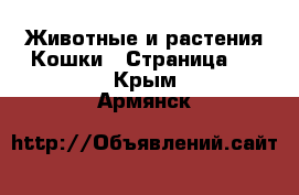 Животные и растения Кошки - Страница 2 . Крым,Армянск